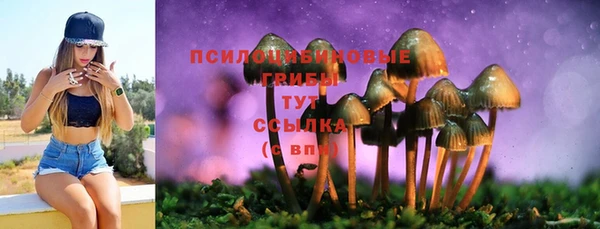 гашик Абаза