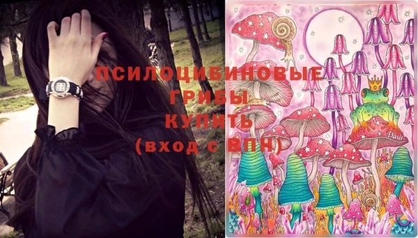 СК Абдулино