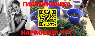 герыч Абакан