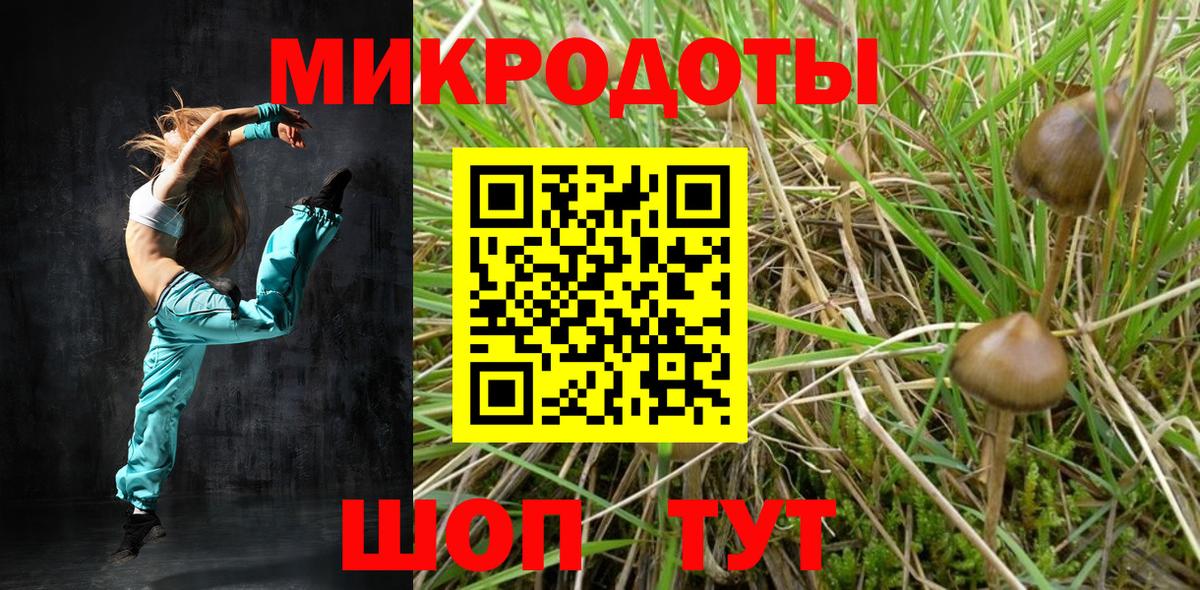 Псилоцибиновые грибы GOLDEN TEACHER  где найти наркотики  Алейск  Вход с VPN 