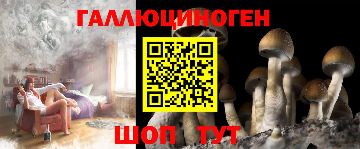 Псилоцибиновые грибы ЛСД Алейск